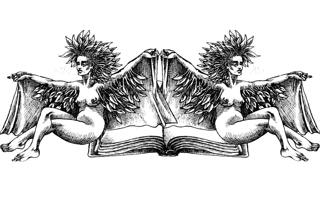 Un(a) presidente feminista