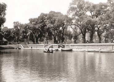 Esta es la historia del Lago de Chapultepec y las otras veces que murieron masivamente peces