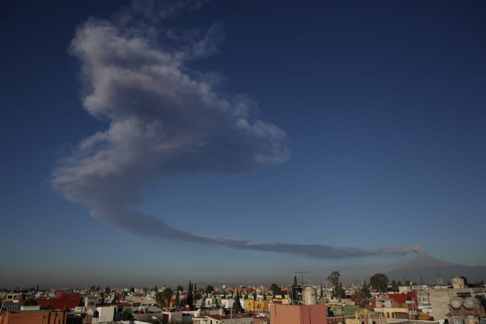 Foto: Omar Contreras / El Universal