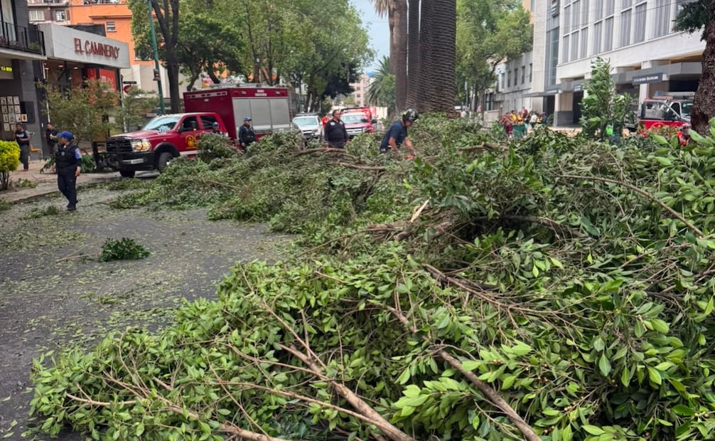 El incidente ocurrió en la calle Ignacio Mariscal, casi al cruce con Paseo de Antonio Caso. | Foto: Especial.