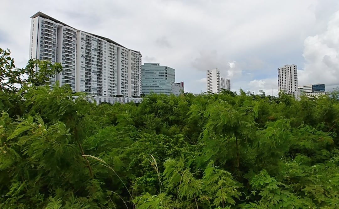 Foto: Adriana Varillas