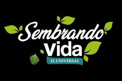 Los retos de "Sembrando Vida"