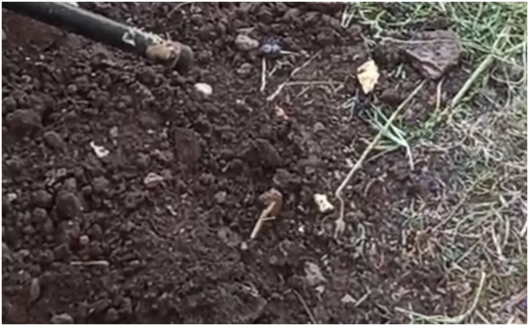 Este 18 de octubre, fueron encontrados restos humanos en dos fosas clandestinas en Guanajuato. Foto: Especial