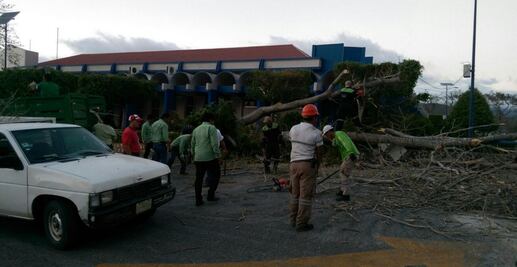 Alertan por vientos superiores a 100 km/h en Chiapas