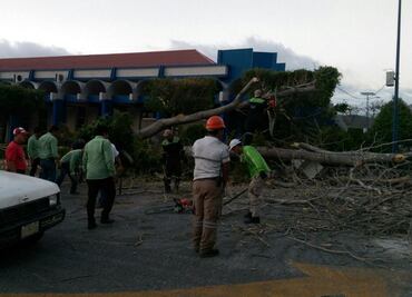 Alertan por vientos superiores a 100 km/h en Chiapas