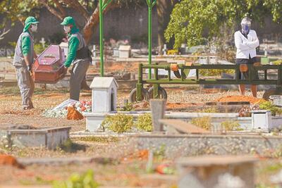 OMS: Brasil alcanza meseta en los casos