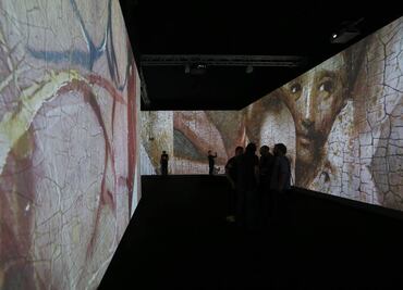 Videoinstalación desmenuza "El Jardín de las Delicias"