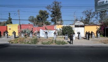 Organizaciones denuncian desaparición de más de 300 perros y gatos tras desalojo del Refugio Franciscano; “nadie ha explicado dónde están ni qué ocurrió con ellos”, señalan