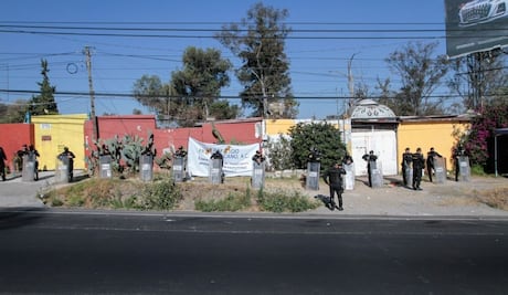 Organizaciones denuncian desaparición de más de 300 perros y gatos tras desalojo del Refugio Franciscano; “nadie ha explicado dónde están ni qué ocurrió con ellos”, señalan