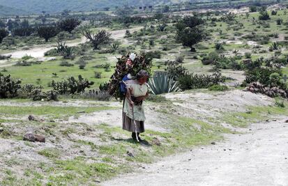 En extinción, hablantes de dialectos indígenas 