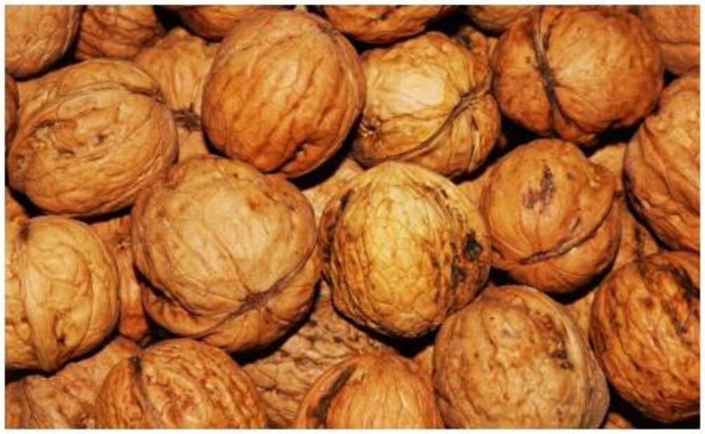 Guía para fortalecer el cabello delgado