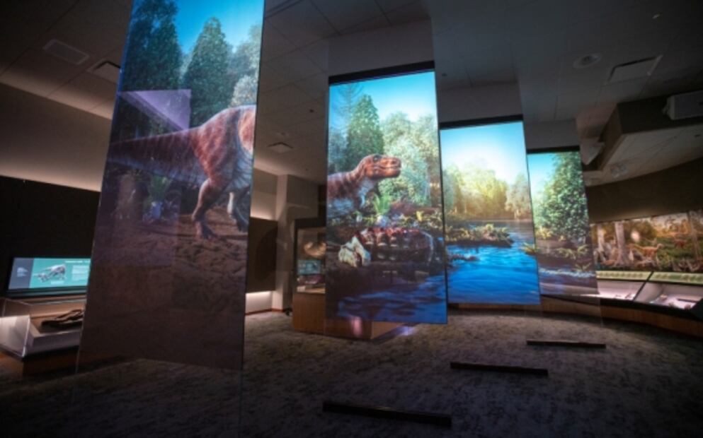 Chicago, 9 experiencias que no “pela” la mayoría de los turistas