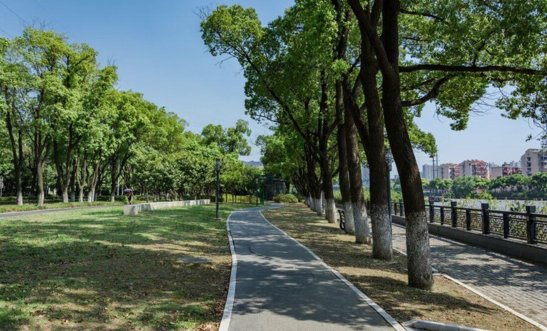 Árboles que embellecen sin dañar las veredas. Fuente: Freepik.