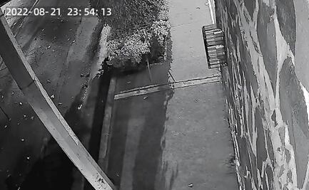 Video: Denuncian a vecino acosador en la Del Valle