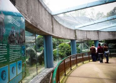 Sedema lanza fideicomiso para modernizar zoológicos y preservar especies en CDMX