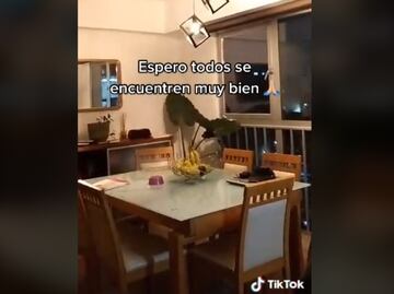 "Hijo de su frutísima madre", la reacción viral de un pequeño tras el sismo de 7.1