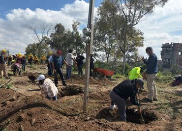 Realizan acciones de recuperación y reforestación en Áreas de Valor Ambiental en Barranca Mixcoac y Barranca Becerra Tepecuache