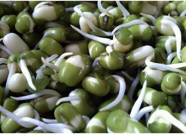 Soya escondida en productos como atún en lata podría provocar reacciones