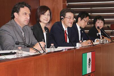 Tricolores, sin apoyo para avión, previo a JO