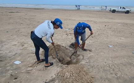 Revisan Playa Bagdad, en Tamaulipas, tras detectar gripe aviar en una gaviota