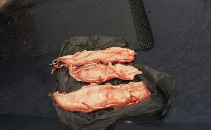 Detienen a 2 por posesión de buches de totoaba