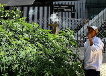 ¿Qué es el movimiento 4/20 y cómo llega a México?