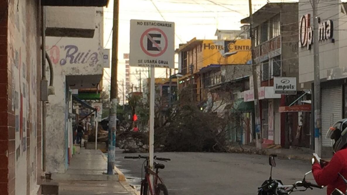 Foto: Lupita Thomas / Quadratín