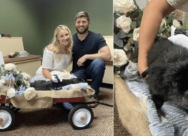Pareja se casa en veterinaria donde estaba internado su perrito y se hace viral