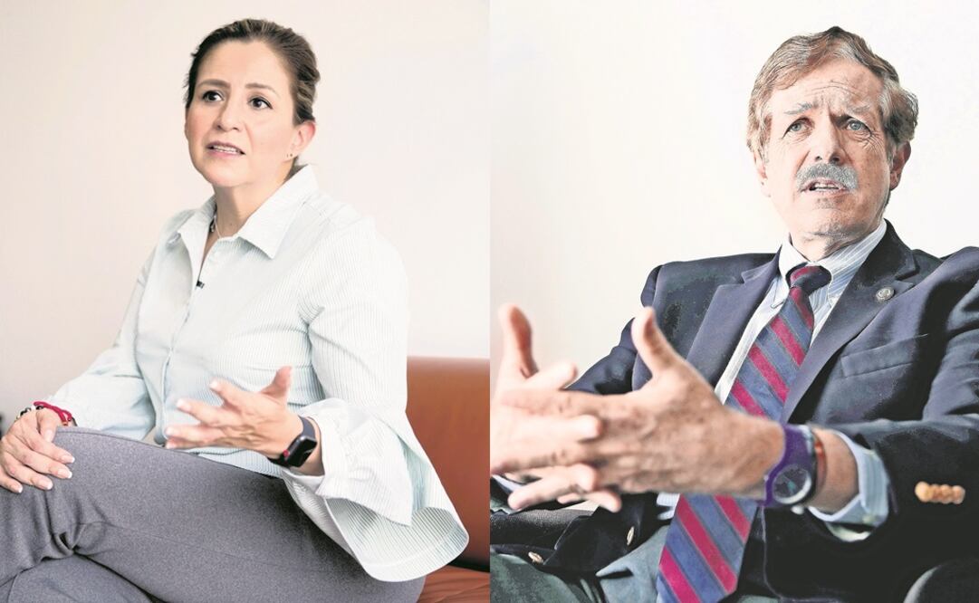 Martha Tagle, diputada de MC y Juan Carlos Romero, coordinador del PAN. Foto: Especial