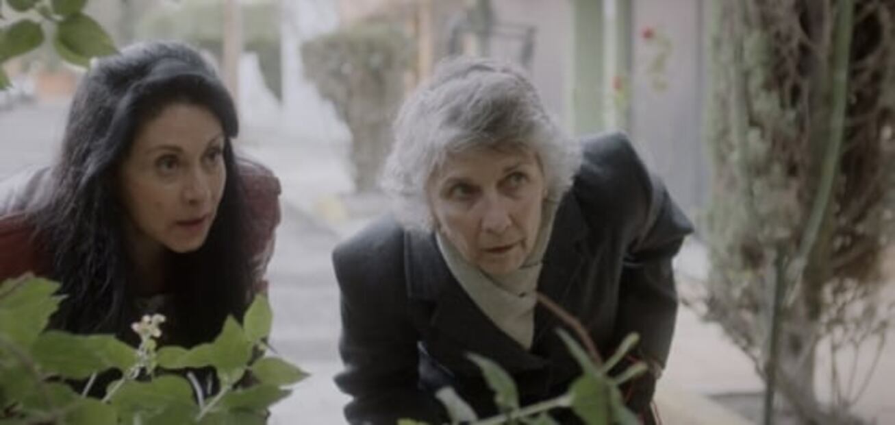 Marlén Ríos-Farjat, la contadora mexicana que podría ganar el Oscar estudiantil