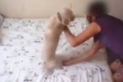 Rescatan en Neza a perro maltratado en video