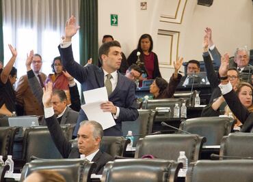 Constituyente avala derechos de animales