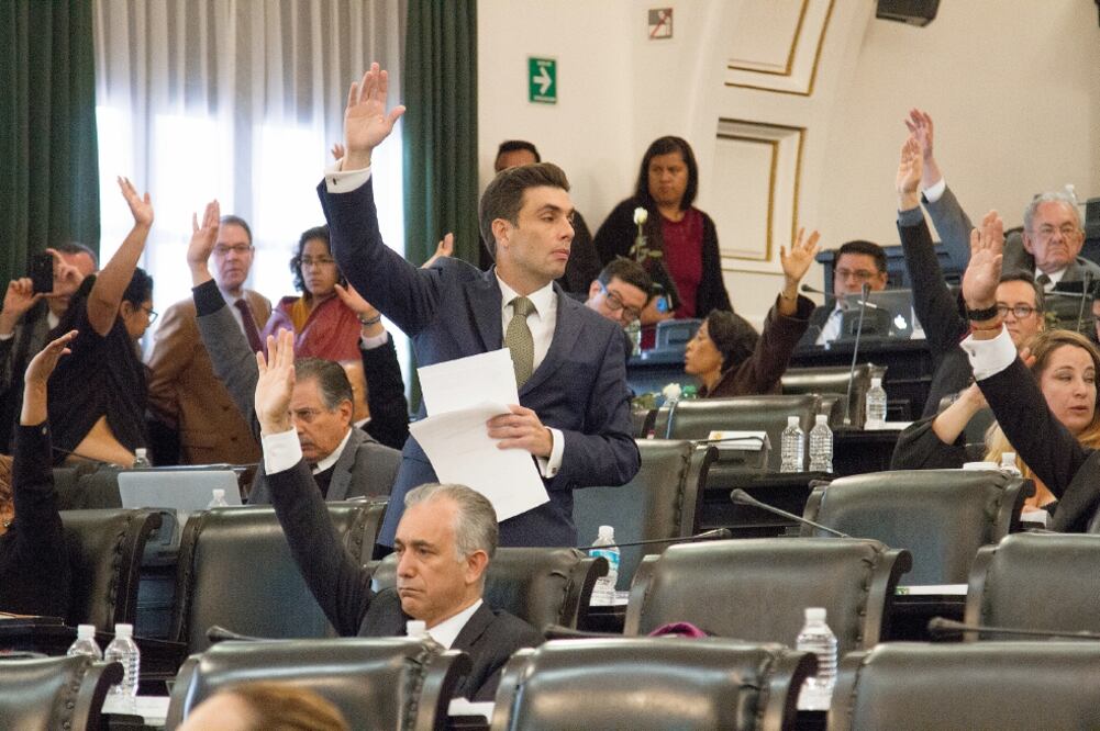 El artículo que fue aprobado establece que los animales son seres que deben recibir un trato digno y los habitantes de la Ciudad tienen la obligación ética y jurídica de proteger su vida. ()