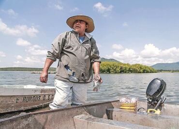 Advierten riesgo de embargo comercial a México por falta de acciones de protección a vaquita marina