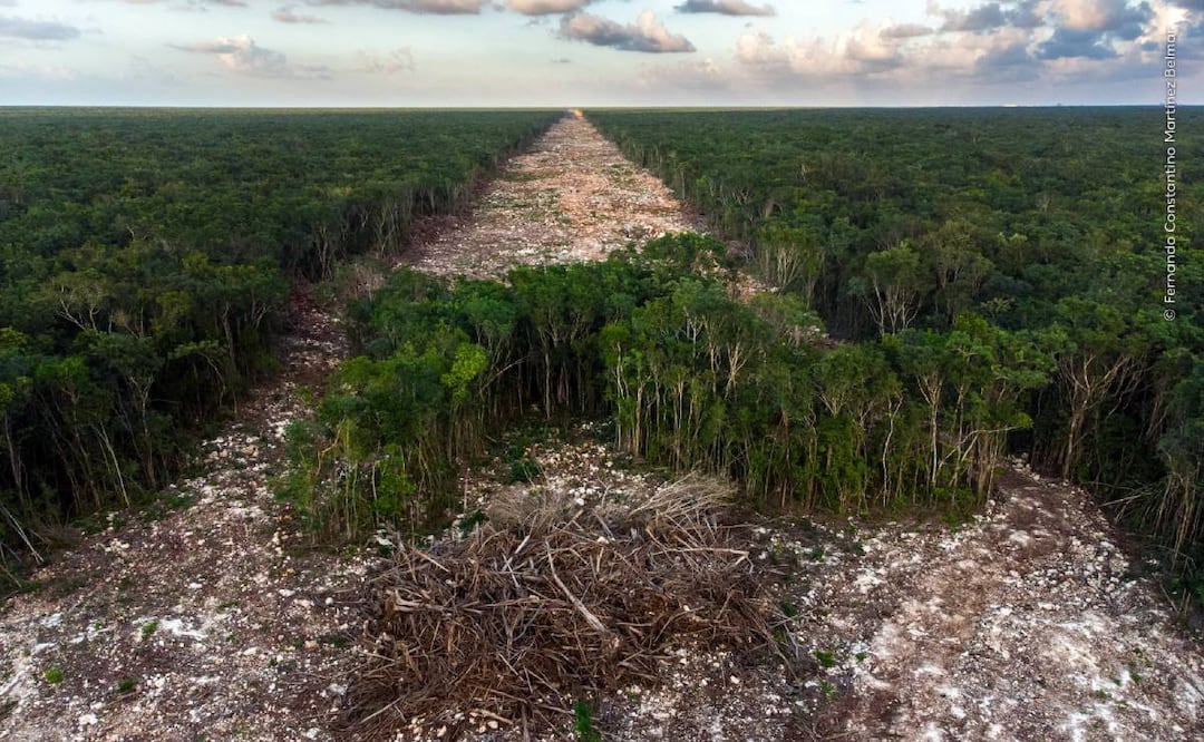 La foto premiada sobre el tramo 5 de Cancún-Tulum que fotografió el yucateco Fernando Martínez Belmar. Foto: Especial