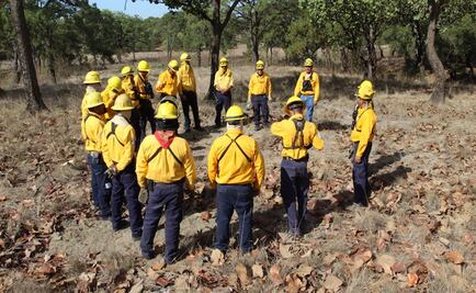 Combatientes forestales mexicanos ayudarán a controlar incendios en Canadá