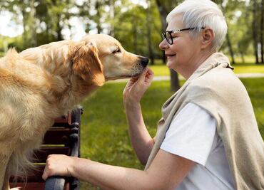 ¿Qué significa hablarle a las mascotas como si fueran humanos? Esto dice la psicología