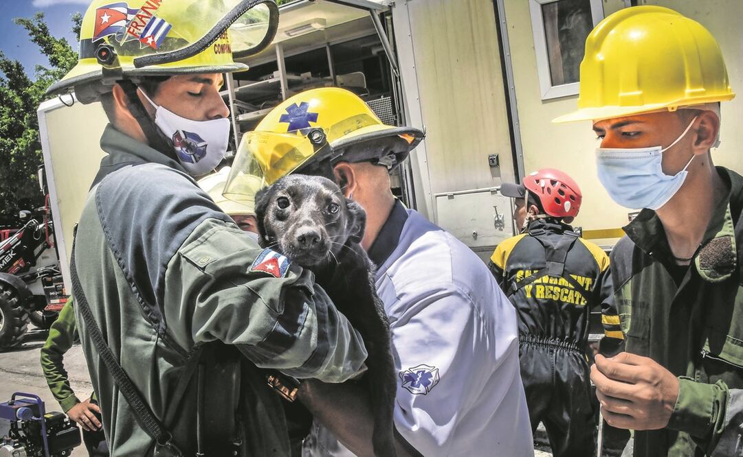 Rescatistas sacan a un perro de las ruinas de una vivienda ubicada cerca del Hotel Saratoga que explotó el pasado viernes en La Habana. Foto: ADALBERTO ROQUE. AFP