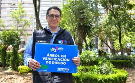 Alcaldía Benito Juárez implementa estrategia "Parques libres de riesgo"; evitará accidentes por caída de arboles en época de lluvias