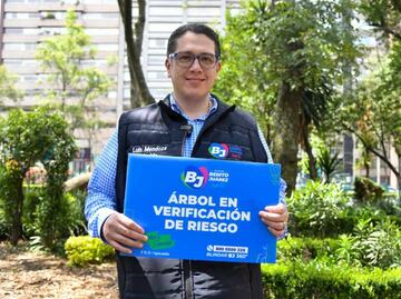 Alcaldía Benito Juárez implementa estrategia "Parques libres de riesgo"; evitará accidentes por caída de arboles en época de lluvias