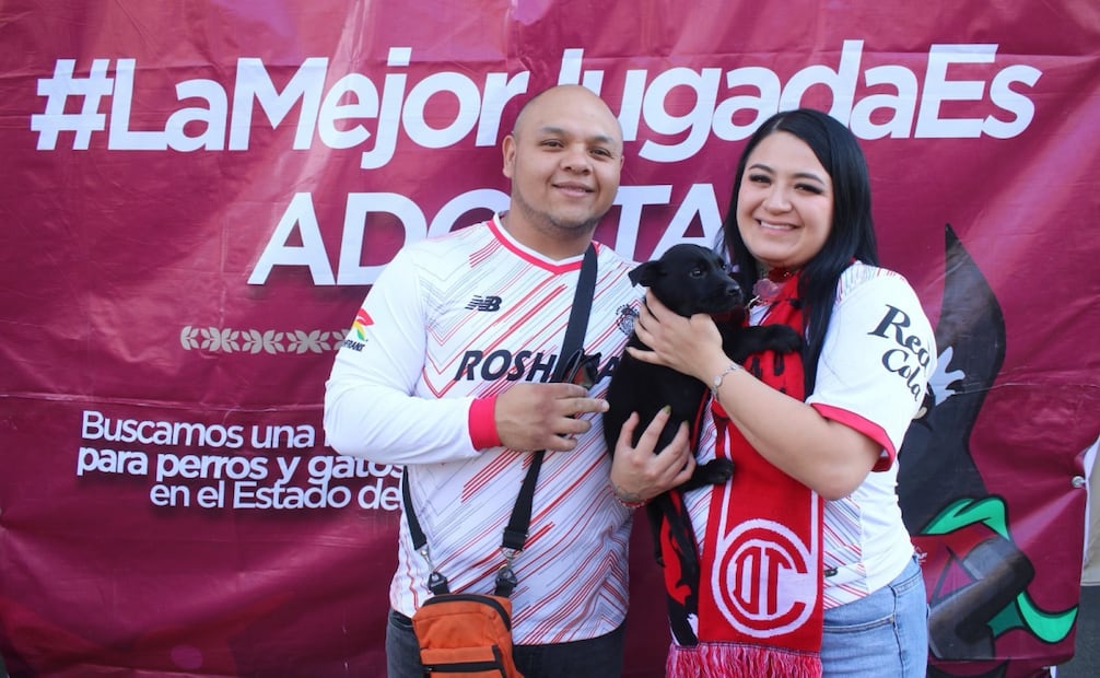 Gobierno del Edomex impulsa adopción de mascotas en Toluca; instalarán módulo en el estadio Nemesio Diez.
Foto: Especial.