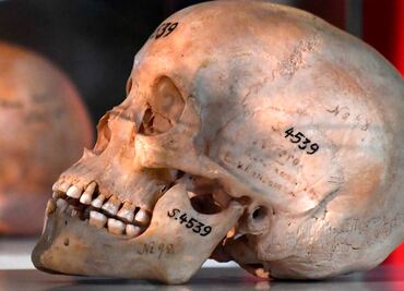 Alemania devuelve restos óseos de tribus exterminadas
