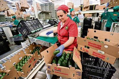 Incertidumbre por TLCAN retrasa inversión: Banxico