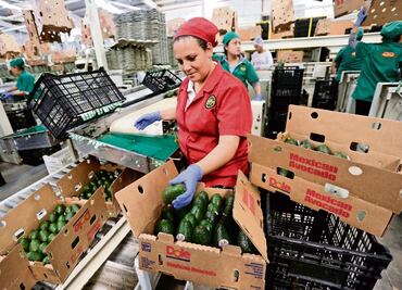 Incertidumbre por TLCAN retrasa inversión: Banxico