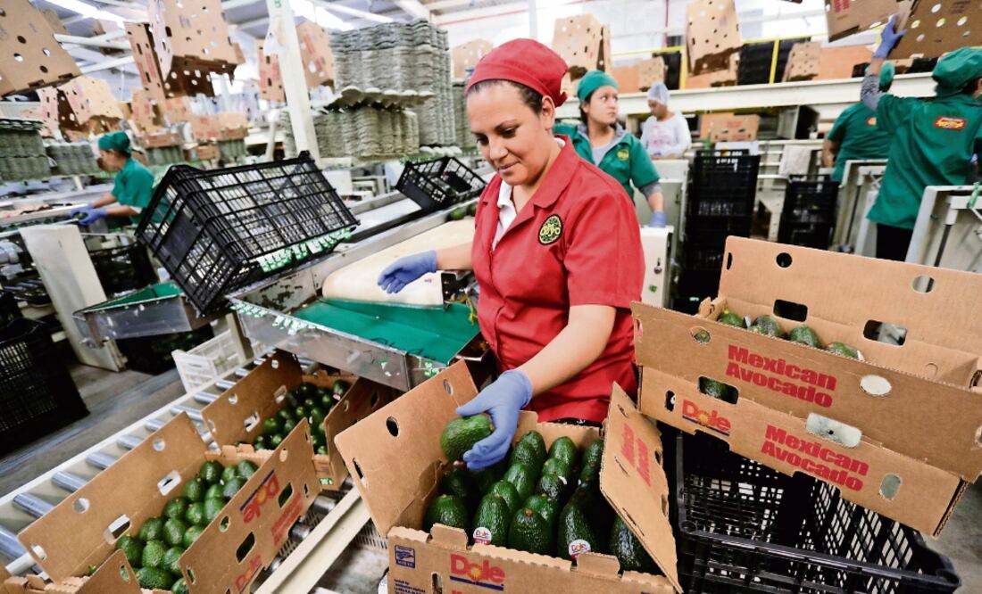 Si hay variaciones en el TLCAN, el tipo de cambio va a amortiguar los efectos en la capacidad de exportación, indican. (ARCHIVO EL UNIVERSAL)