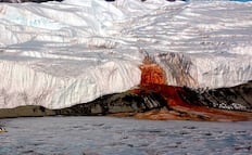 Este es el secreto de las cascadas de sangre de la Antártida