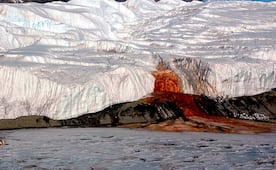 Este es el secreto de las cascadas de sangre de la Antártida