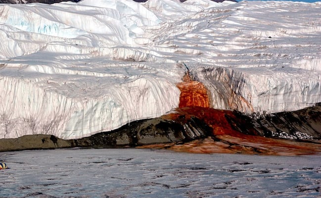 Este es el secreto de las cascadas de sangre de la Antártida