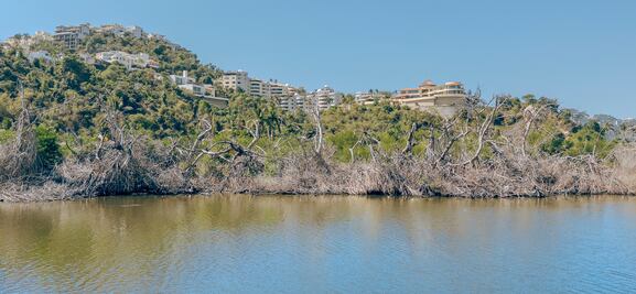 El muro verde que no estaba