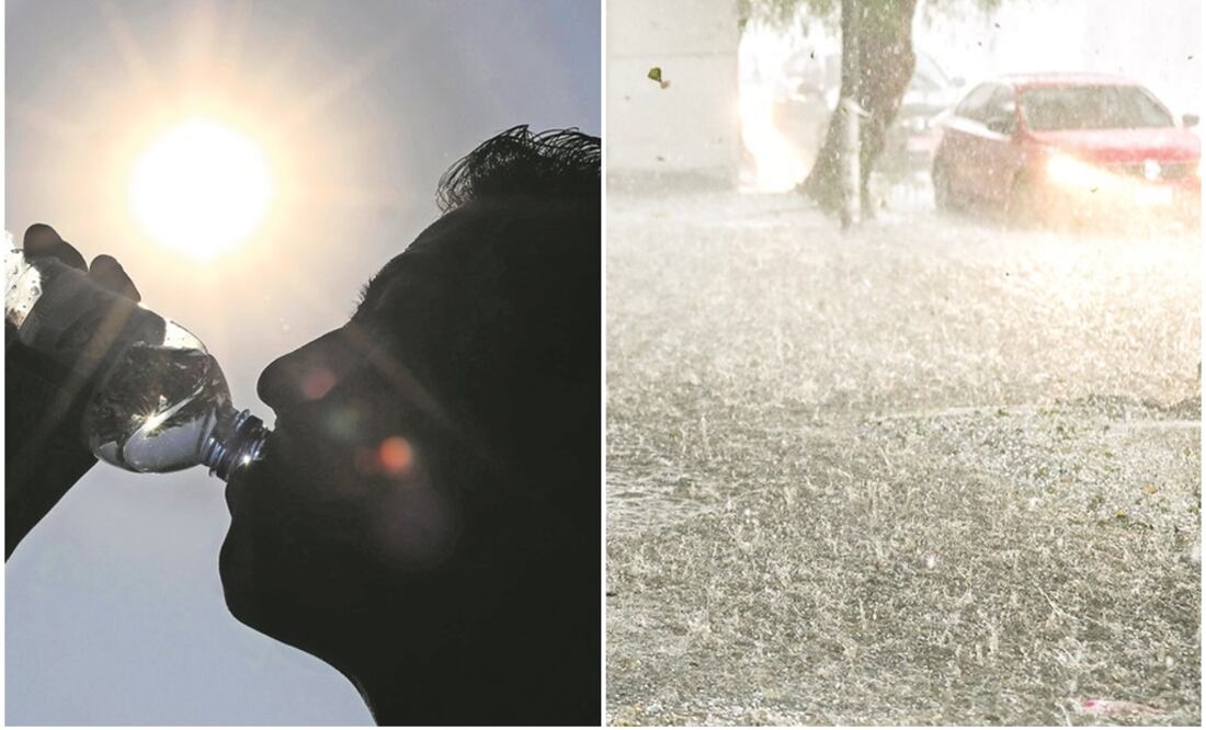 (Fotografía: Archivo)